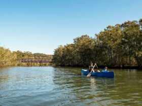 Narrabeen Lake