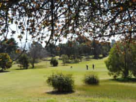Narrandera Cold Course