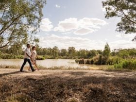 Narrandera Wetlands