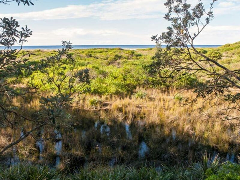 Narrawallee National Park. Photo: Michael van Ewijk © DPIE