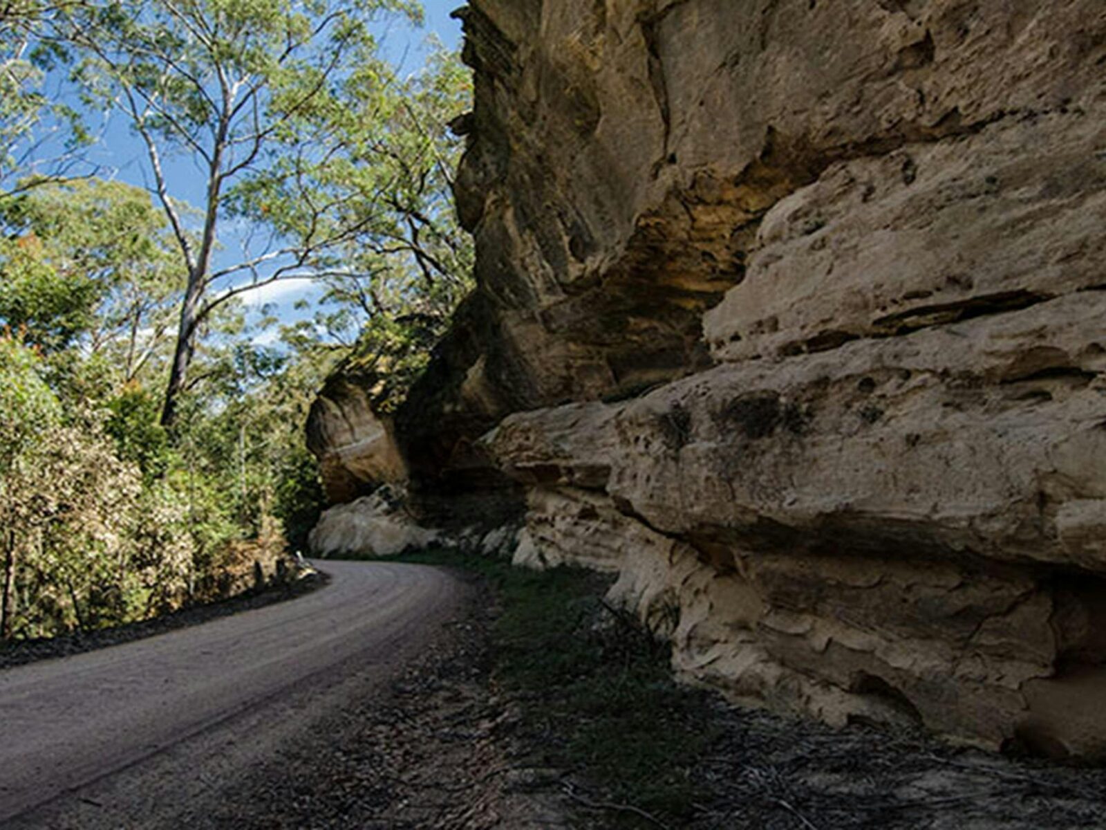 World Heritage Drive, Nattai National Park. Photo: John Spencer © DPIE