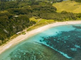 Neds Beach-snorkeller-bbq area- aerial