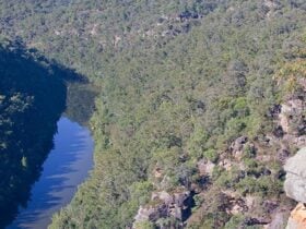 Euroka - Nepean River walk, Blue Mountains National Park. Photo: Nick Cubbin © OEH