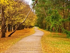 Camden Nepean Cycleway