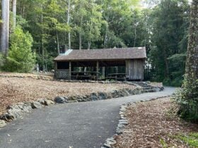 An concrete path leading to a shelter and picnic table at Never Never picnic area in Dorrigo