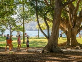 Family walking beneath huge trees in the picnic area with tranquil harbour views in the background