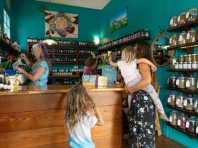 Shopping exploring the range at Nimbin Apothecary
