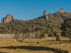 Nimbin Rocks
