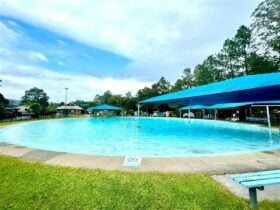 Nimbin Swimming Pool