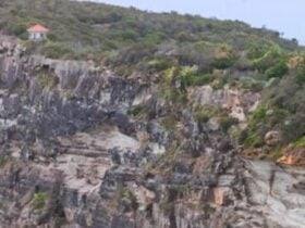 Bushwalk at Bangalley Headland
