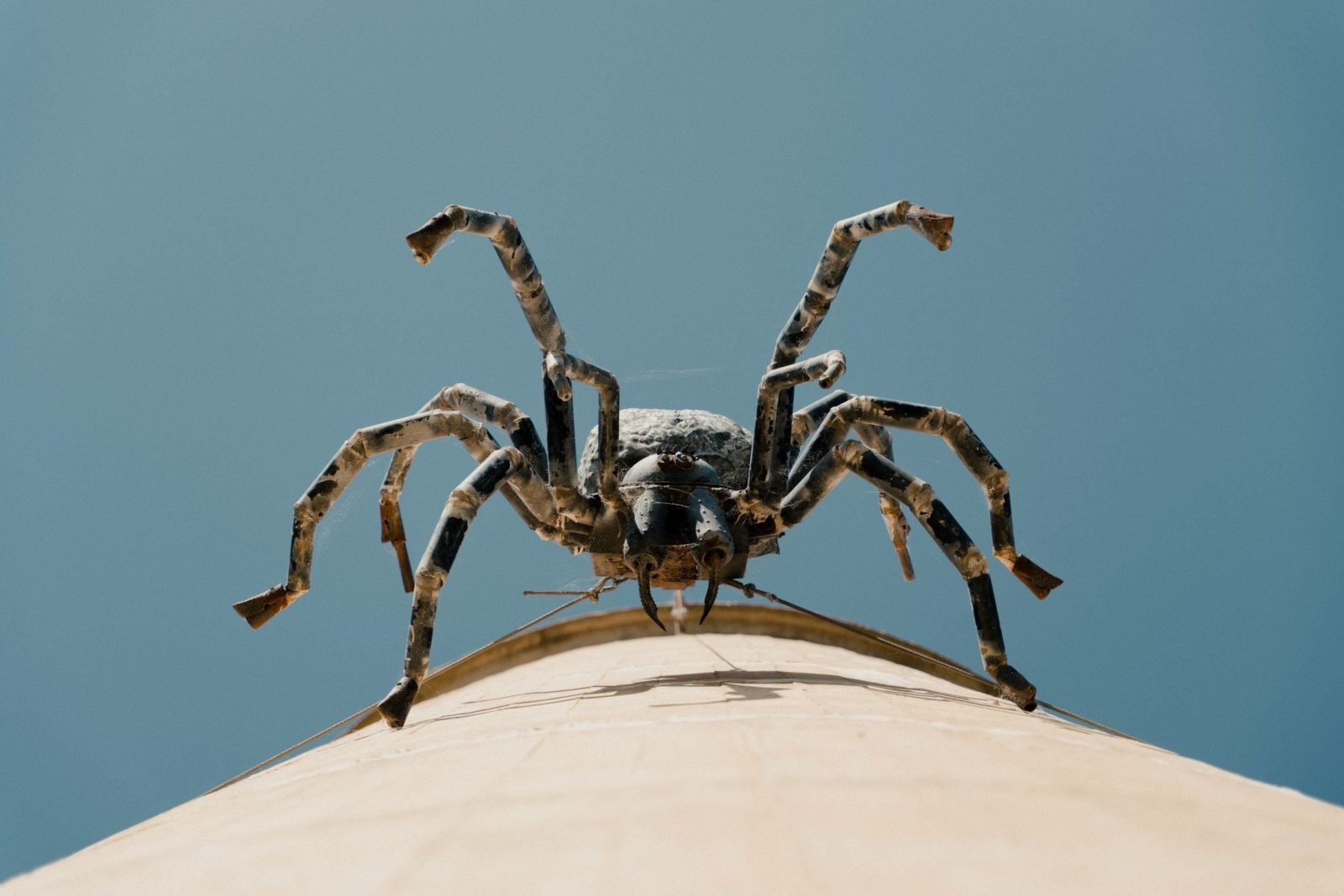A metal sculpture of a massive spider looks down from the side of a water tower in Urana.