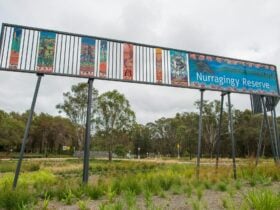 Sign at Nurragingy