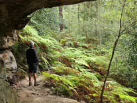 Man walking on the 11 kilometre walking track. Photo: John Yurasek