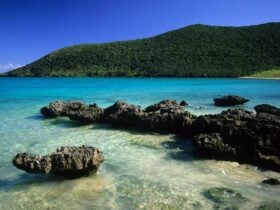 Old Settlement Beach