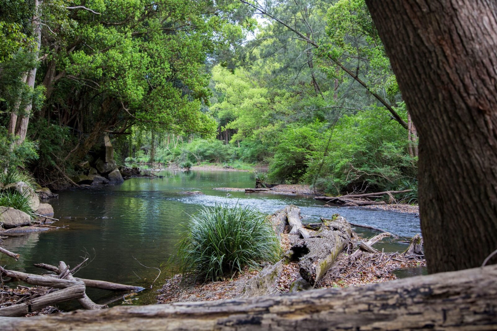 Orara River