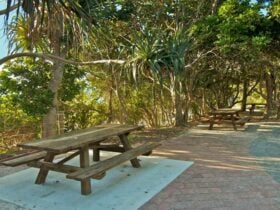Palm Valley, Walgun Cape Byron State Conservation Area. Photo: John Spencer