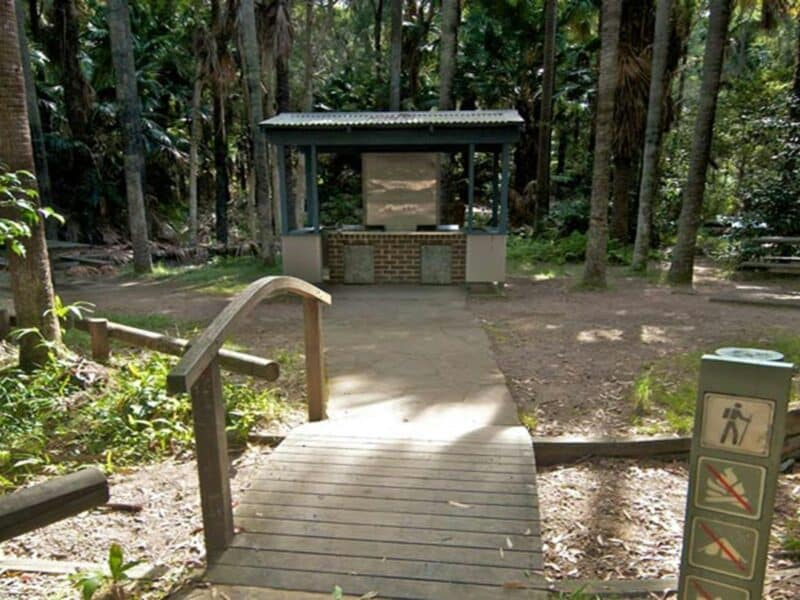 Palms picnic area in Munmorah State Conservation Area. Photo: John Spencer