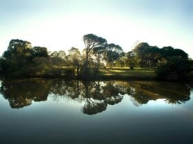 Parramatta Park