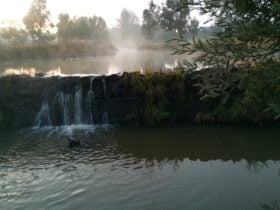 Early morning at Kiamma Creek