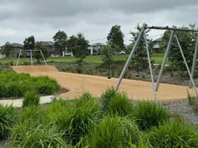 Peel Park flying fox