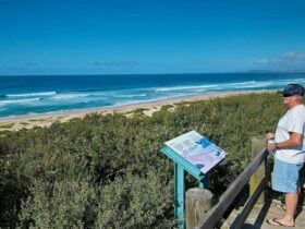 Man at Pelican Beach lookout. Photo: John Spencer