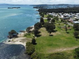 Arial shot Pelican Foreshore