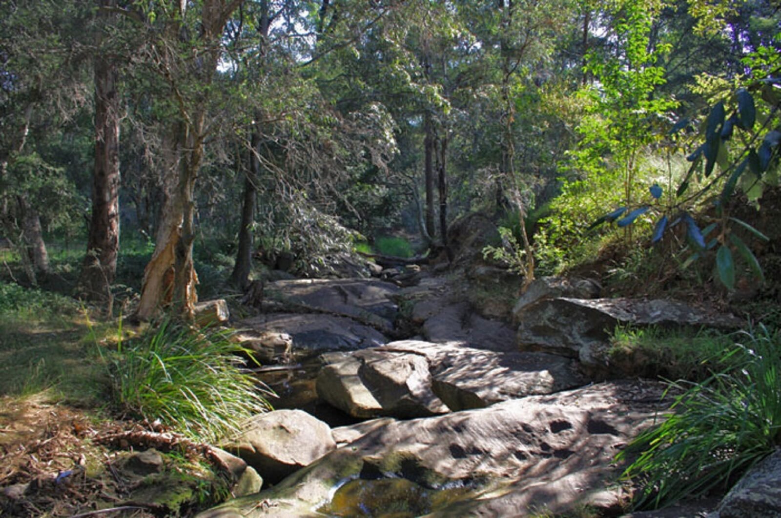 Pembroke Park Creek