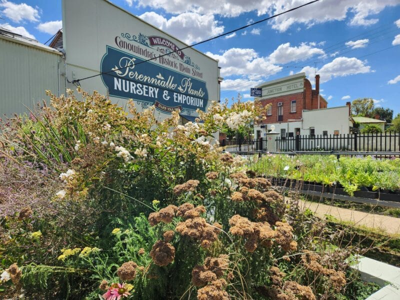 A photo of a billboard with flowering nursery plants in the foreground