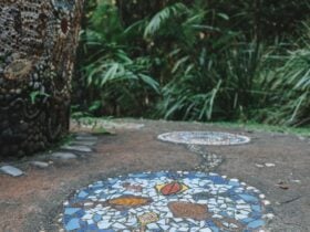 Macleay Valley Coast Art Trail Mid North Coast NSW Pines Picnic Area Mosaic