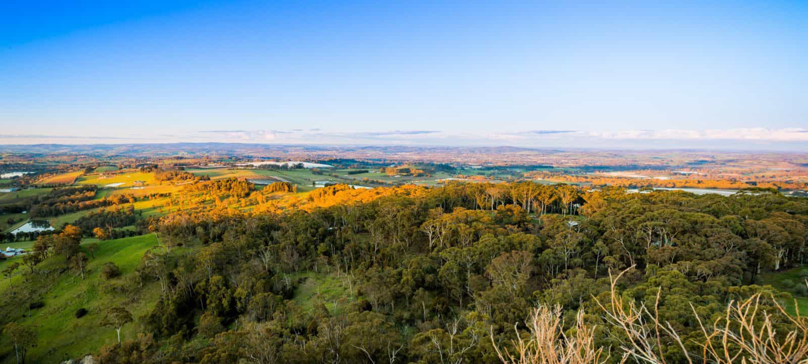 View from Pinnacle Lookout
