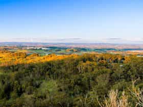 View from Pinnacle Lookout