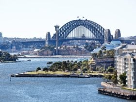 Pyrmont Park, Sydney