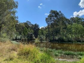 Plough and Harrow Double Dams