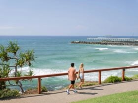 Couple walking at Point Danger Lookout
