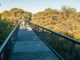Pointer Gap lookout, Morton National Park. Photo: Michael Van Ewijk © OEH