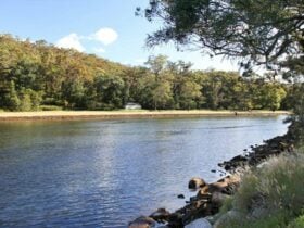 Pool Flat, Royal National Park. Photo: Andy Richards/NSW Government