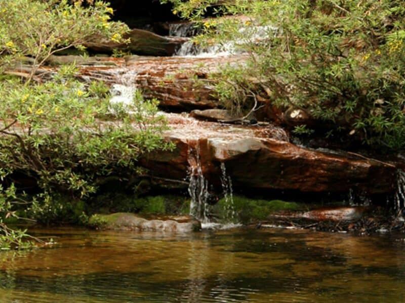 Emerald Pool, Popran National Park. Photo: John Yurasek © DPIE