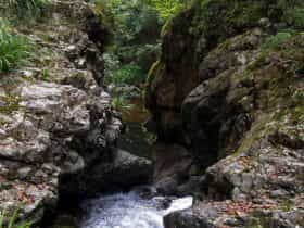 Potaroo Falls walk