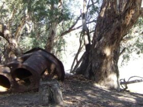 PS Providence, Kinchega National Park. Photo: NSW Government