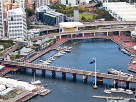 Aerial of Darling Harbour in the afternoon