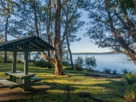 Queens Lake picnic area, Queens Lake Nature Reserve. Photo: John Spencer
