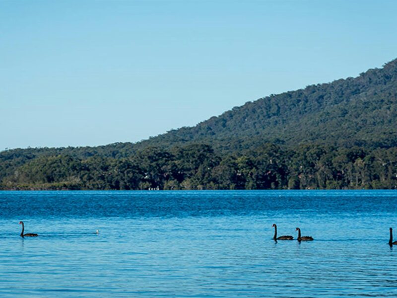 Queens Lake Nature Reserve. Photo: John Spencer