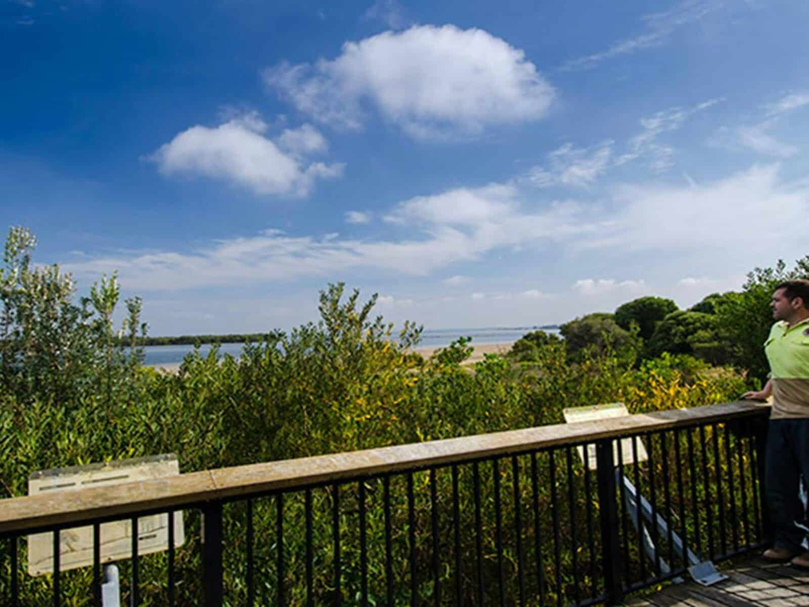 Quibray Bay viewing platform, Towra Point Nature Reserve. Photo: John Spencer/NSW Government