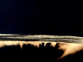 Quietlands by Fiona Kent at The Peisley St Gallery