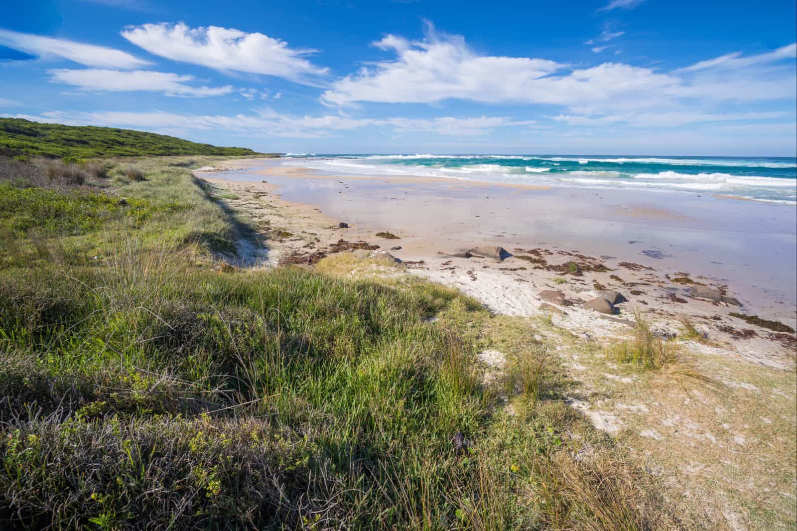 Racecourse Beach, Bawley Point