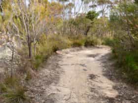 Red Rocks trig walking track