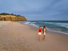 Sunset Redhead Beach