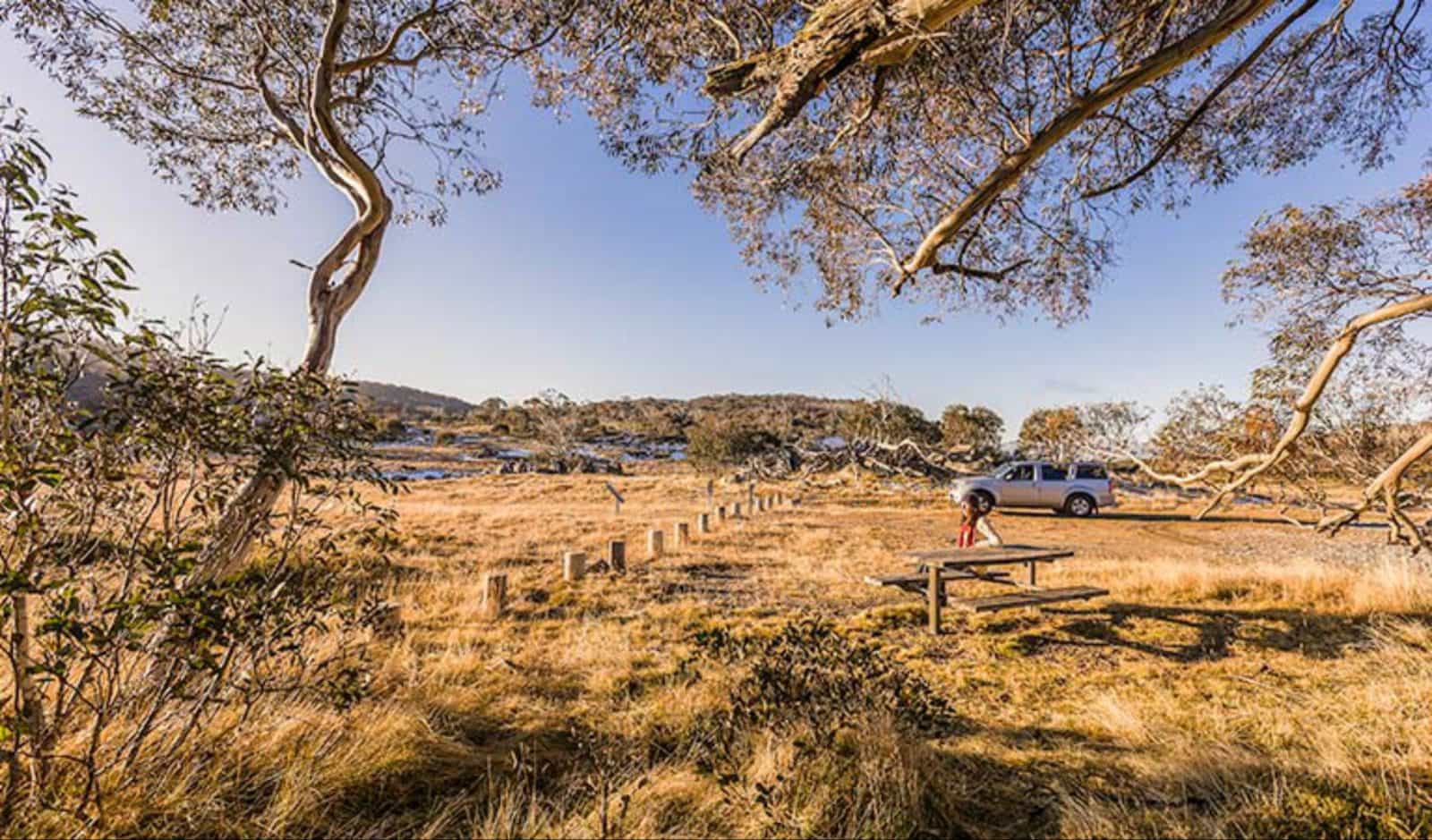 Rennix walking track