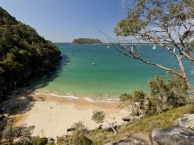 Resolute Beach