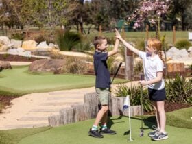 2 children high-fiving playing mini golf